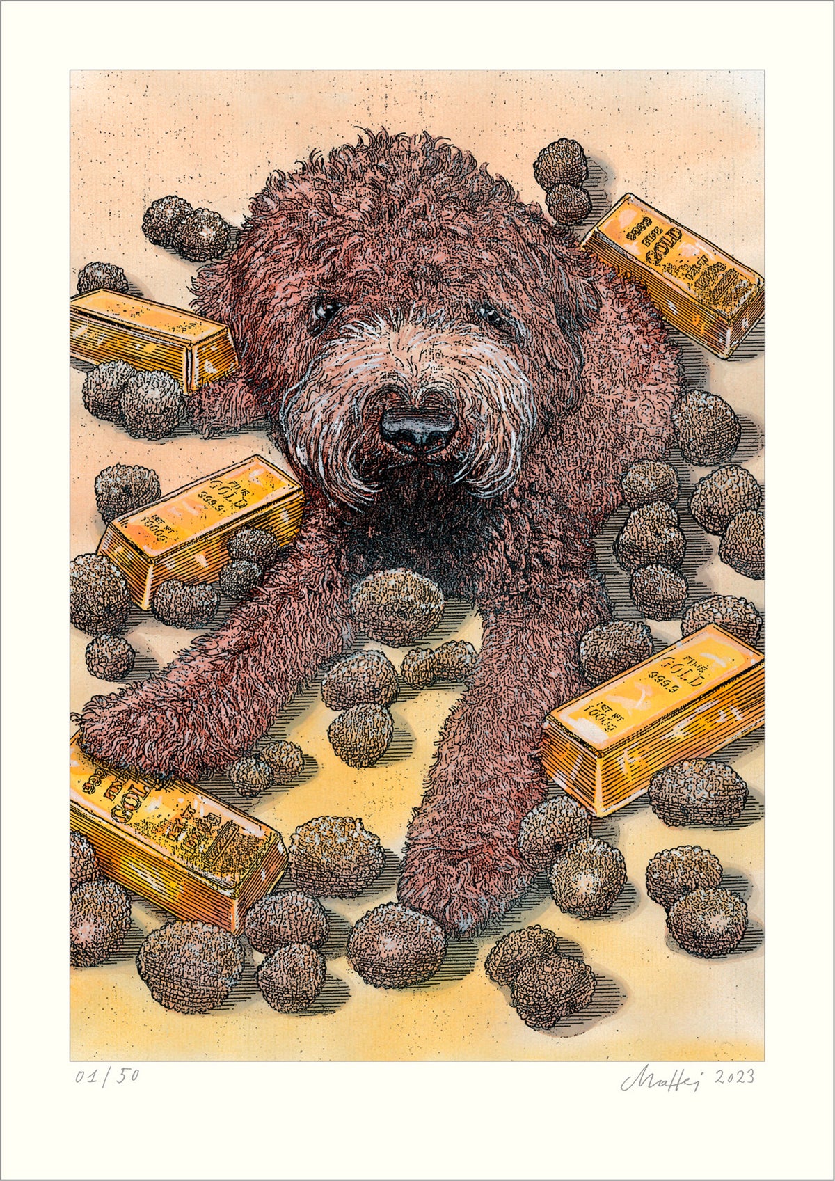 Lagotto Romagnolo