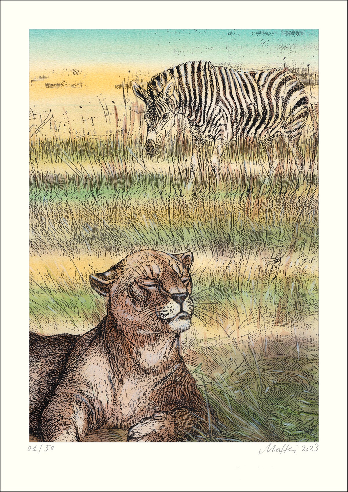 Warum läuft das Zebra mit einem Zebrastreifen herum?