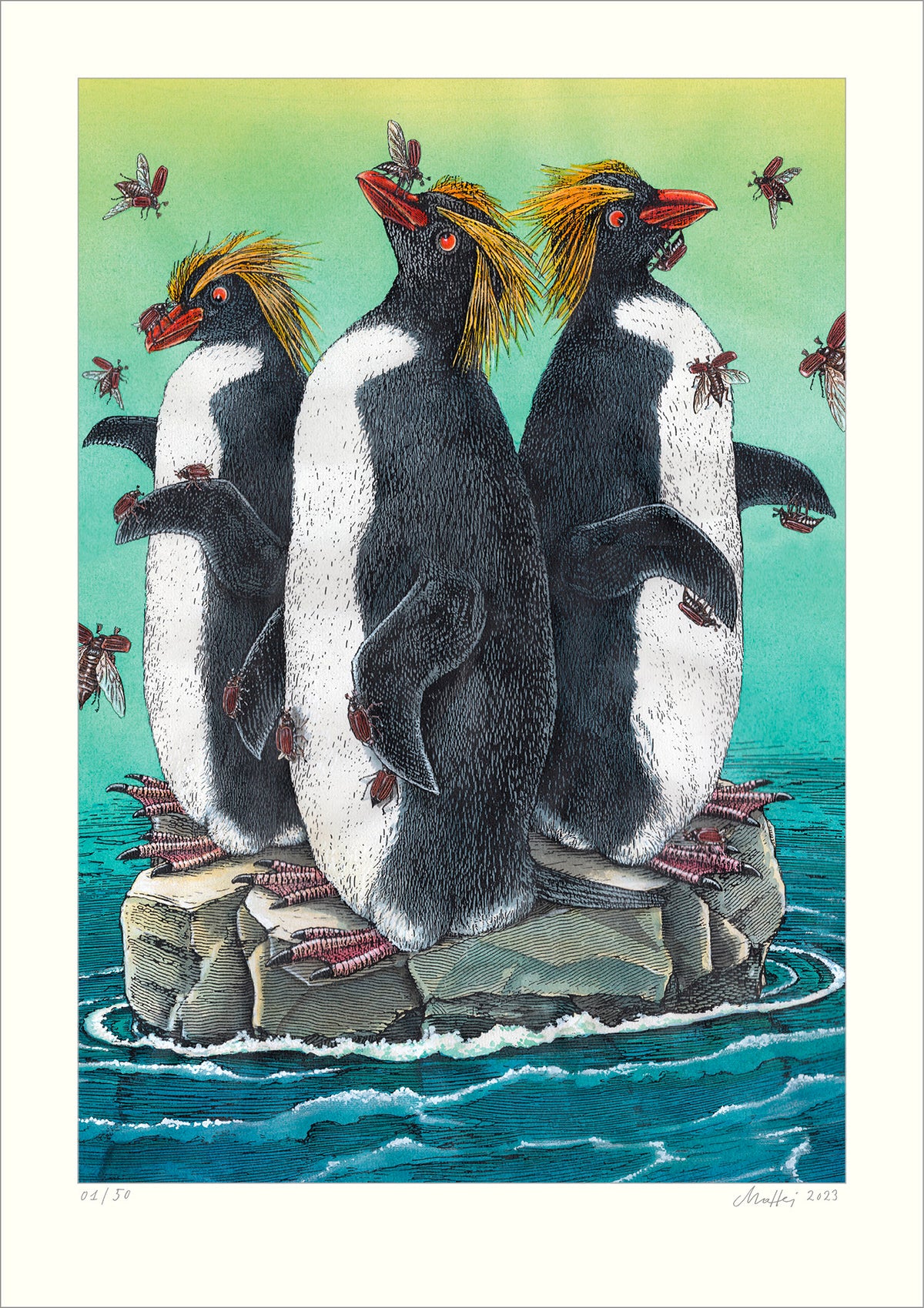 Besuch auf der Scholle